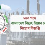 ২৫০ পদে বাংলাদেশ বিদ্যুৎ উন্নয়ন বোর্ড নিয়োগ বিজ্ঞপ্তি ২০২৫